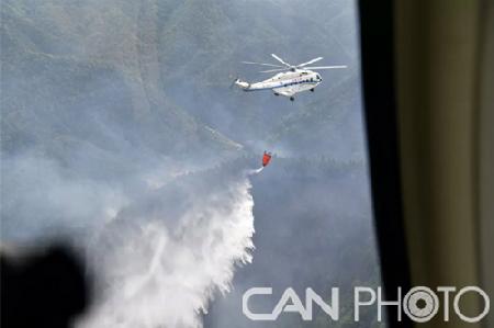 1590714695590 1590714695590